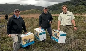  ??  ?? Getting three takahe¯ ready for release. Fulton Hogan director Bob Fulton, left, executive manager Jules Fulton and DOC senior biodiversi­ty ranger Glenn Greaves in the Kahurangi National Park.