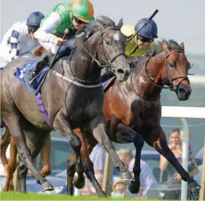  ??  ?? COURSE SUITED. Brian The Snail has proven he can handle the Pontefract course and looks the runner to follow in the Racing UK Anywhere Available Now Handicap (Class 3) over 1200m at the course today.