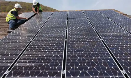  ??  ?? ‘Labour’s vision of enough new solar panels to cover 22,000 football pitches is hard to imagine,’ says Tim Walker. Photograph: Wild Places Photograph­y/Alamy