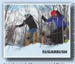  ??  ?? SUGARBUSH