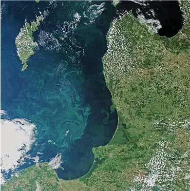  ?? Foto: dpa/ESA ?? Bei Phosphatzu­fluss kommt es zu Algenblüte­n wie hier in der Ostsee (die Schlieren im Meer).