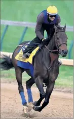  ??  ?? By Matthew Stockman, Getty Images Consistent: Game On Dude won two Grade 1 stakes and was a close second in another in 2011.