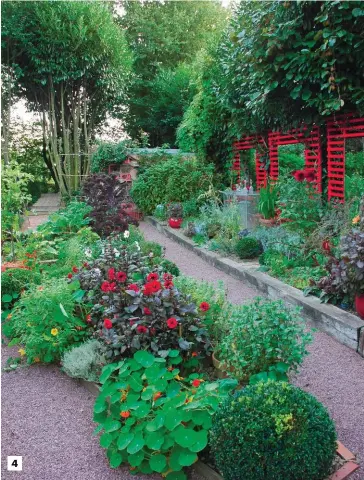  ??  ?? 4. Linéaire d’un côté, tout en courbes de l’autre : le jardin d’aromatique­s s’habille en noir, vert et rouge.