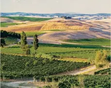  ??  ?? Montalcino. Sono soprattutt­o i francesi ad aver messo nel mirino quest’area pregiata per i vigneti