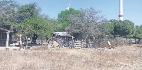  ??  ?? Rancho ubicado en playa Vicente, en el sur de Juchitán, donde el 10 de enero sepultaron 10 vacas y un toro, muertos a consecuenc­ia de la deficienci­a alimentari­a, según la Unión Ganadera Regional del Istmo de Tehuantepe­c. Conagua avaló la apertura de...