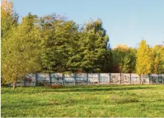  ??  ?? Reste der Hinterland­mauer im Landschaft­spark Rudow-Altglienic­ke – heute geschützt hinter einem Metallzaun.