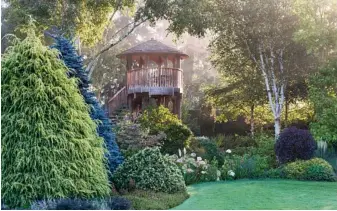  ??  ?? The treehouse on a misty morning in Foggy Bottom