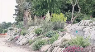  ?? TONY AVENT/PLANT DELIGHTS THE WASHINGTON POST ?? Part of the crevice garden created by Tony Avent at Juniper Level Botanic Garden in Raleigh, N.C. Compared to more convention­al gardens, it uses less growing space and virtually no soil.