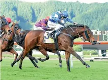  ??  ?? Debbie Rogerson is pinning her hopes on Malambo, left, and Comeback for the Foxbridge Plate at Te Rapa today.