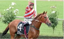  ?? GRANT MATTHEW/RACE IMAGES PALMERSTON NORTH ?? Darryl Bradley returns victorious aboard Hunta Pence after the group III Manawatu¯ Cup last Saturday at Awapuni.