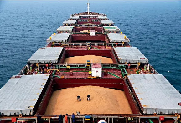  ??  ?? Soybeans imported from Brazil are examined at a quarantine anchorage site in Yantai, Shandong Province.