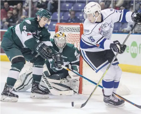  ?? DARREN STONE, TIMES COLONIST ?? New Royals forward Andrei Grishakov looks to pass in front of Silvertips defenceman Ian Walker and goaltender Dustin Wolf during WHL action at Save-on-Foods Memorial Centre on Friday night.