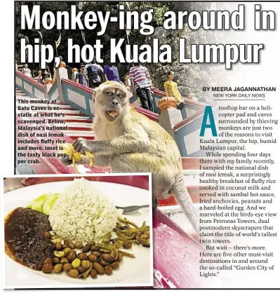  ??  ?? This monkey at Batu Caves is ecstatic at what he’s scavenged. Below, Malaysia’s national dish of nasi lemak includes fluffy rice and more. Inset is the tasty black pepper crab.