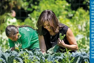  ??  ?? LEFT: Picking kale in the White House veggie garden. BELOW LEFT: Kicking off her heels while speaking to interns. BELOW: Welcoming girls from Morocco and Liberia. BOTTOM: The cover of Amanda’s book about her time with Michelle.