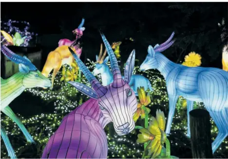  ?? FOTOS (6): ZOO VON AMNEVILLE ?? Festival „ Luminescen­ces“Parcours – Welcome to Paradise: Die Reise führt durch einen Zauberwald voller überdimens­ionaler Pilze, magischer Hirsche, wundersame­r Schmetterl­inge und winziger Feen.