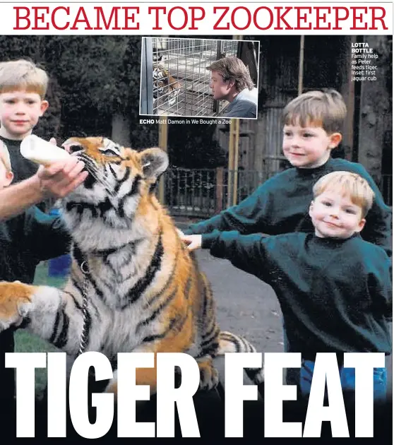  ??  ?? ECHO Matt Damon in We Bought a Zoo LOTTA BOTTLE Family help as Peter feeds tiger. Inset: first jaguar cub