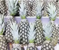  ?? ?? CIIE Visitors Throng for ‘World’s Sweetest Pineapple’