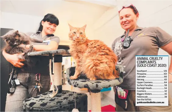  ??  ?? Tia Toivonen with George and Jacinta Spry with Harry at Helensvale RSPCA. Picture: Scott Powick