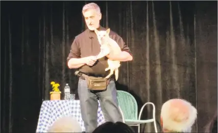  ?? N.F. Ambery / For Hearst Connecticu­t Media ?? Theatrical animal trainer Bill Berloni introduces Chico, his rescued Chihuahua who played Bruiser in the 2008 musical version of the movie “Legally Blonde,” to an audience of more than 110 at the “Broadway Tails” show at the Sharon Playhouse’s Bok...