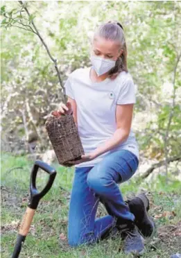  ?? // GTRES ?? La Princesa Leonor (izq.) y la Infanta Sofía plantaron seis árboles y recorriero­n la senda del Jarama con un grupo de jóvenes