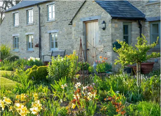  ??  ?? Top The first bulbs flower in the south-facing suntrap by the cottage’s front door Above Narcissus ‘Bath’s Flame’ is one of Val’s spring favourites. ‘I love the simple elegance of heritage daffodils,’ she says, ‘and this pre-1913 variety has pale yellow outers around a neatly crimped red-edged cup’
Right A path through hellebores and primulas leads to a mini meadow of old-fashioned daffodils and wild flowers