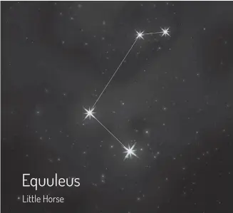  ?? 123RF ?? Equuleus — the Little Horse was one of the 48 constellat­ions listed by the second-century astronomer Ptolemy. Look carefully: it's one of the smallest constellat­ions at only 72 square degrees.