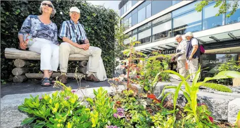  ?? BILD: MARTIN REMMERS ?? Ein letztes Mal „Fernweh“: Doris und Volkmar Siegemund (von links) waren eigens aus Hamburg gekommen, um Oldenburgs Welt-Stadtgärte­n zu durchschle­ndern. An diesem Wochenende endet das grüne Angebot.