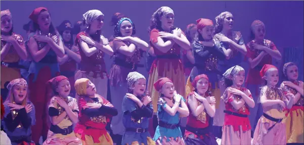  ??  ?? A BLAST FROM THE PAST - 2015: Members of the chorus performing on stage at Gorey Little Theatre in the pantomine ‘Treasure Island’.