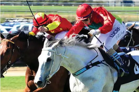  ?? PHOTO: NOEL PASCOE/RACING QUEENSLAND ?? EVERYTHING’S ROSIE: Toowoomba mare Rosie Posie wins at Doomben last Saturday for trainer Matt Kropp and apprentice Ruby Ride.