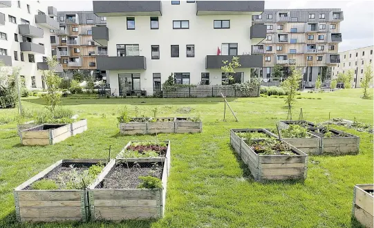  ??  ?? Im neuen Wiener Stadtteil Seestadt Aspern sollen sich Urbanität und Landleben vermischen.