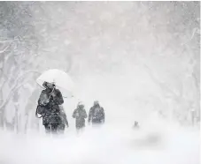  ??  ?? TEMPORAL. Varias personas caminan por el Central Park de Nueva York bajo la tormenta de nieve. FOTO AFP