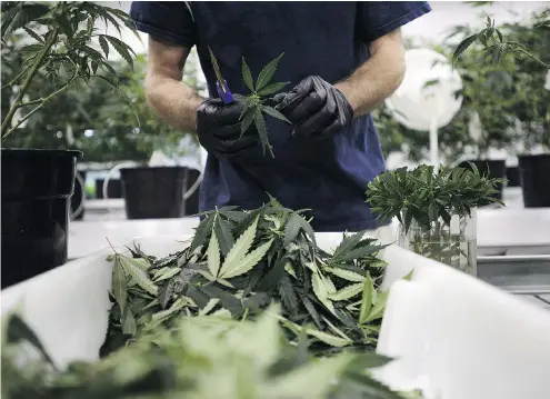  ?? SEAN KILPATRICK / THE CANADIAN PRESS FILES ?? The Tweed facility in Smiths Falls, Ont., of Canopy Growth, a corporatio­n which is worth $12.2 billion.