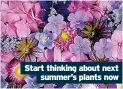  ?? ?? Start thinking about next summer’s plants now