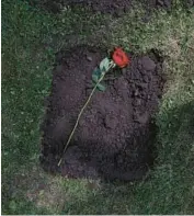  ?? ?? A rose lies across the burial plot of Justin Pearlman at Union Cemetery in St. Charles.