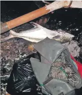  ?? Photos: Supplied ?? A joint operation by various local authoritie­s saw suspects arrested for illegal netting of fish on the Bitou River. The suspects’ vehicle, boat and equipment were confiscate­d.