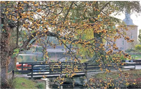  ?? RP-FOTO: NICOLE PETERS ?? Der heutige Samstag wird noch einmal ein schöner warmer Herbsttag. Da lässt sich die Natur am Schloss Tüschenbro­ich genießen.