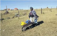  ?? Picture: ROGAN WARD ?? SELF-HELP: Nosamele Fokwane on her way to fetch water in Mandela’s childhood village of Mvezo in the Eastern Cape