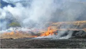  ?? BOMBEROS. ?? Los bomberos forestales estarán repartidos en todo el país.