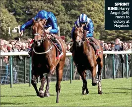  ??  ?? SPRINT KING: Harry Angel (left) races to victory at Haydock