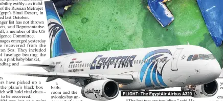  ??  ?? FLIGHT: The EgyptAir Airbus A320