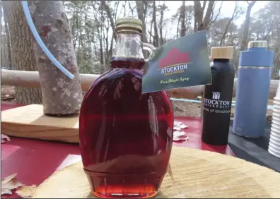  ?? (AP/Wayne Parry) ?? A bottle of maple syrup produced by Stockton University’s Maple Project sits on an outdoor table at the university’s Galloway, N.J., campus on Feb. 21.
