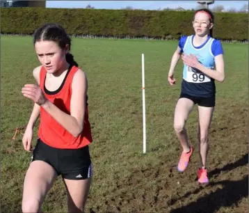  ??  ?? Claragh Keane (Presentati­on Wexford) in the Junior girls’ race in the Good Counsel grounds.