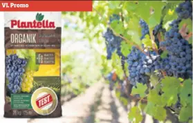  ??  ?? Plantella Organik za vinograde ostvari planiran prinos grožđa odgovaraju­će kakvoće.