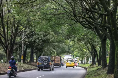  ?? FOTO JUAN ANTONIO SÁNCHEZ ?? Corredor de la 80 en el sector de Belén, cerca al cementerio Campos de Paz, por donde rodaría el tranvía en caso de llegar a feliz término su construcci­ón.