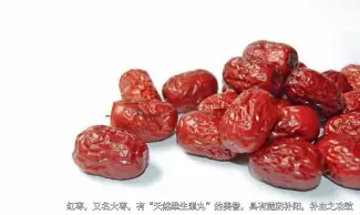  ??  ?? 红枣，又名大枣，有“天然维生素丸”的美誉，具有滋阴补阳，补血之功效