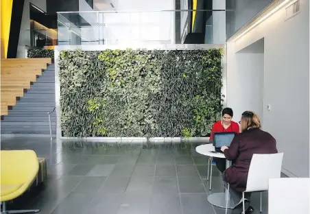  ?? TNS ?? Goodyear employees Navjot Grewal and Joni Fitch work at a table near a living wall in the company’s cafeteria in Akron, Ohio.