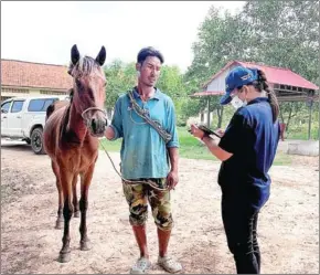  ?? CPWO ?? A CPWO staff member asks a horse owner about the condition of his animal.