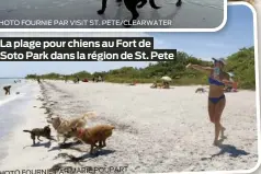  ?? FOURNIE PAR MARIE POUPART PHOTO ?? La plage pour chiens au Fort de Soto Park dans la région de St. Pete