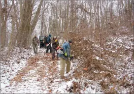  ?? Photo submitted ?? Members of the St. Marys Sportsmen’s Club are shown clearing some invasive multiflora and autumn olive.