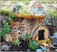  ??  ?? This is the first tree stump Lynn Bialek picked out and transforme­d into a fairy home for her garden.